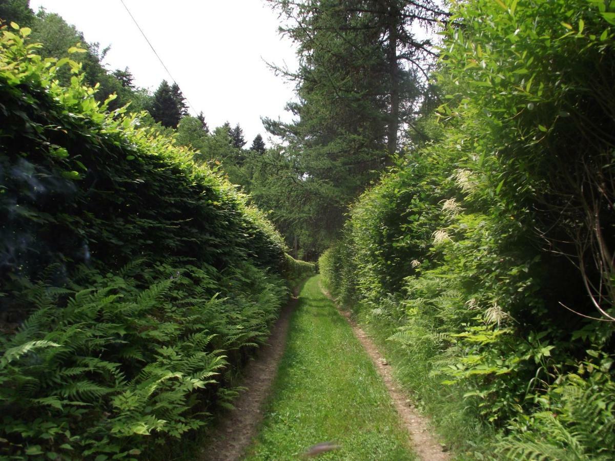 Villa Idylla Polom Maly Esterno foto